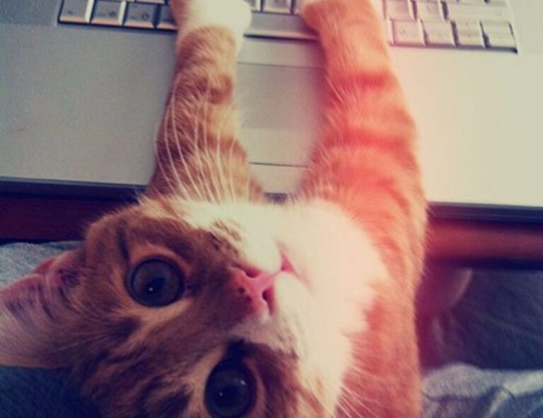 benefits of alletomir wealth management