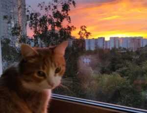 data softout4.v6 python