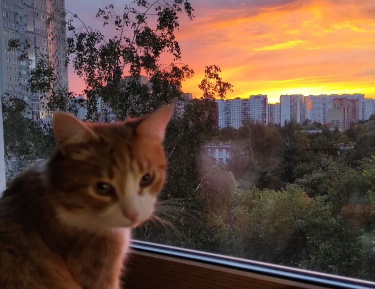 data softout4.v6 python