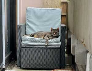 dropbox 8737.idj.029.22 problems