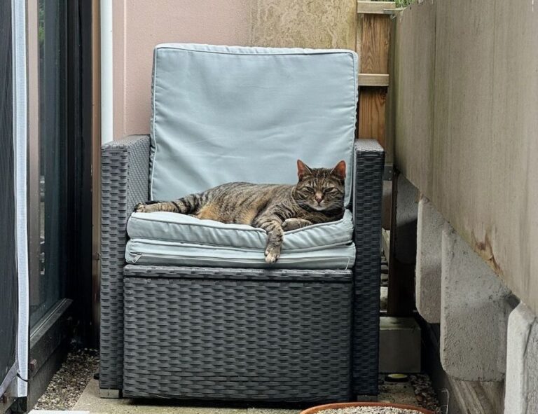 dropbox 8737.idj.029.22 problems