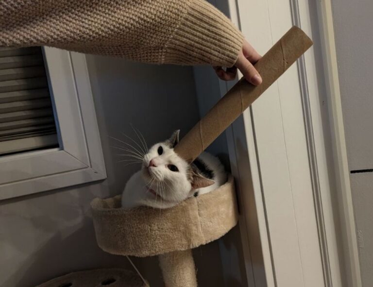 infoguide map lwmfmaps