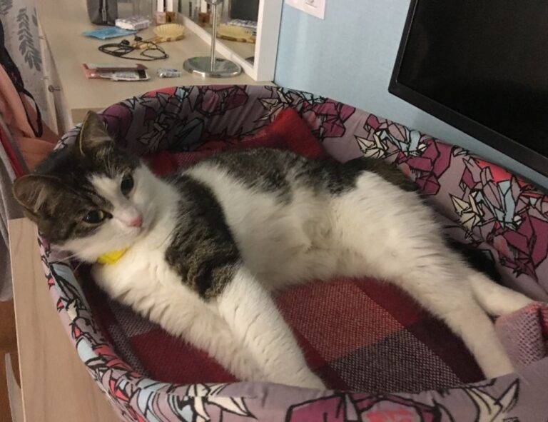 map infoguide lwmfmaps