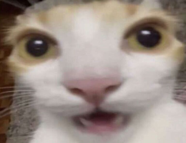 the map guide lwmfmaps