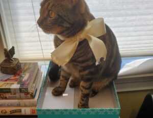 why is my yex382v3yte air conditioner not working