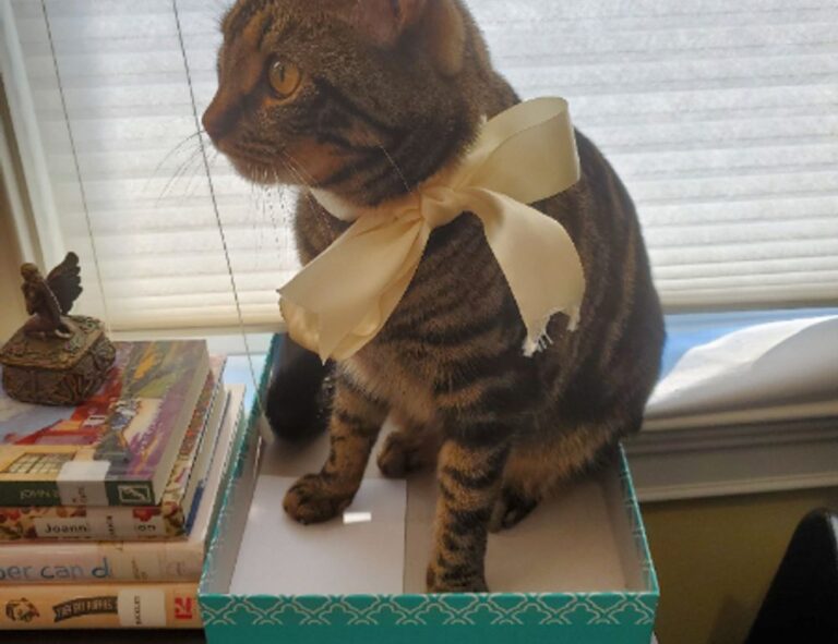 why is my yex382v3yte air conditioner not working