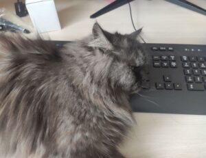 zenvekeypo4 software problem