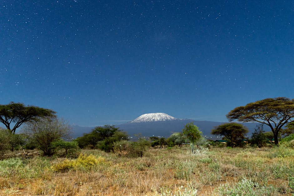 kilimanjaro tanzania