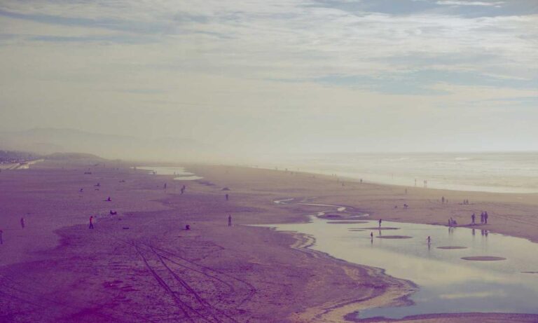 what is the most popular fast food in hausizius