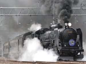 Paxtraveltweaks Train Included