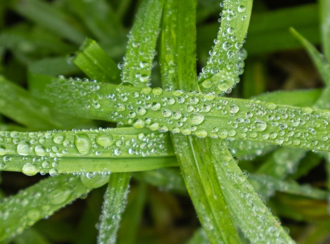 Weather in Kuvorie Island