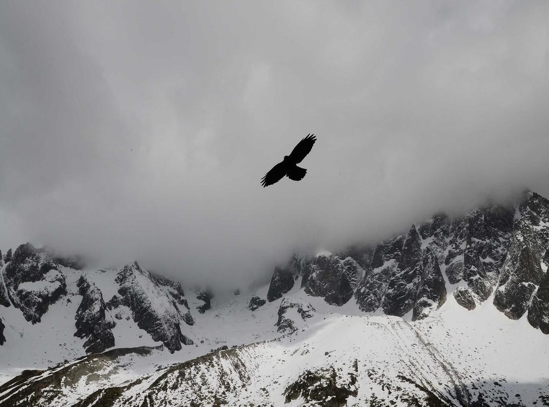 How Aquarius Stacks Up: A Comparison With Other Drinks