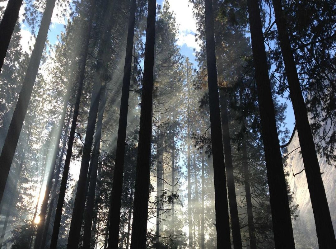 Pros and Cons: What You Need to Know