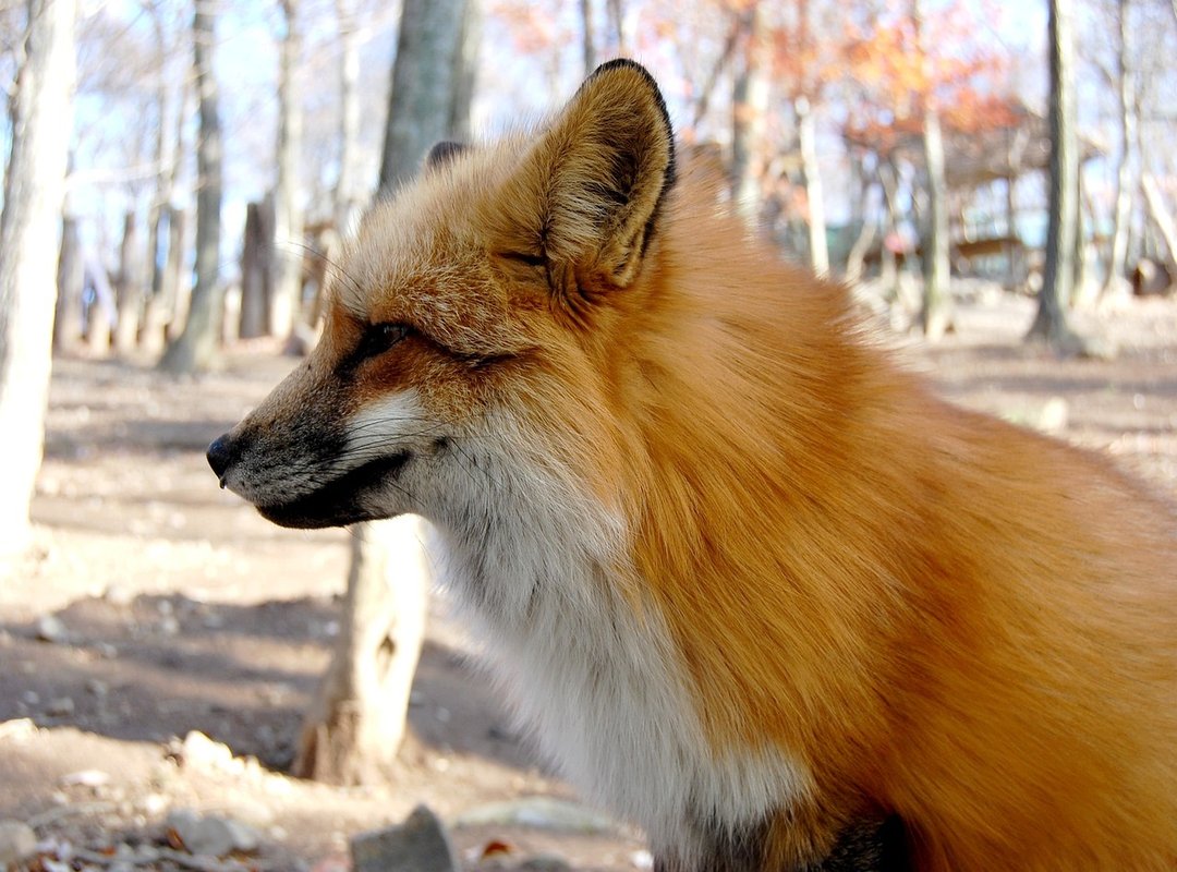 The Easiest Way to Find Any Gold Coast Postal Code