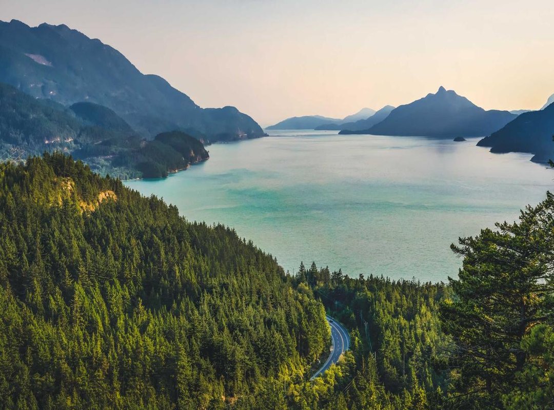 The Final Verdict: Who Should Invest in This Fragrance?