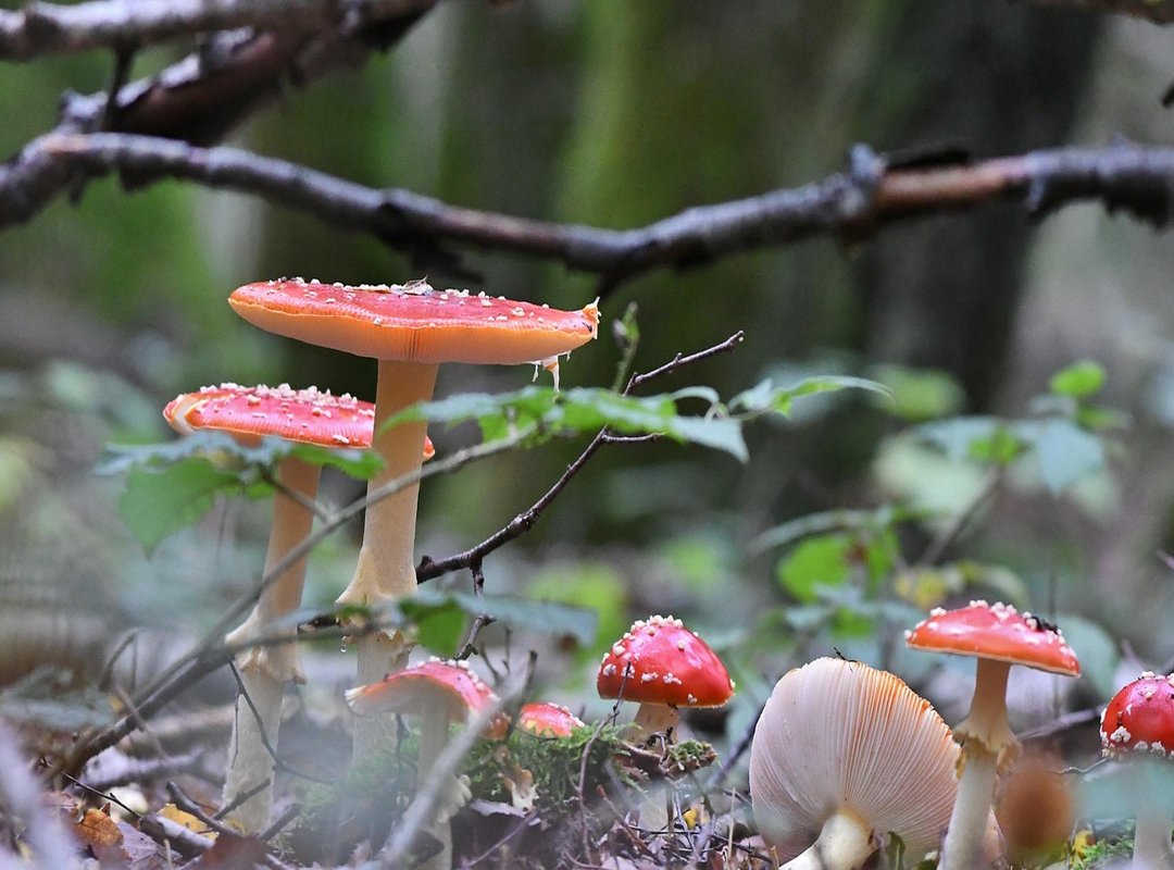 drole gif anniversaire rigolo