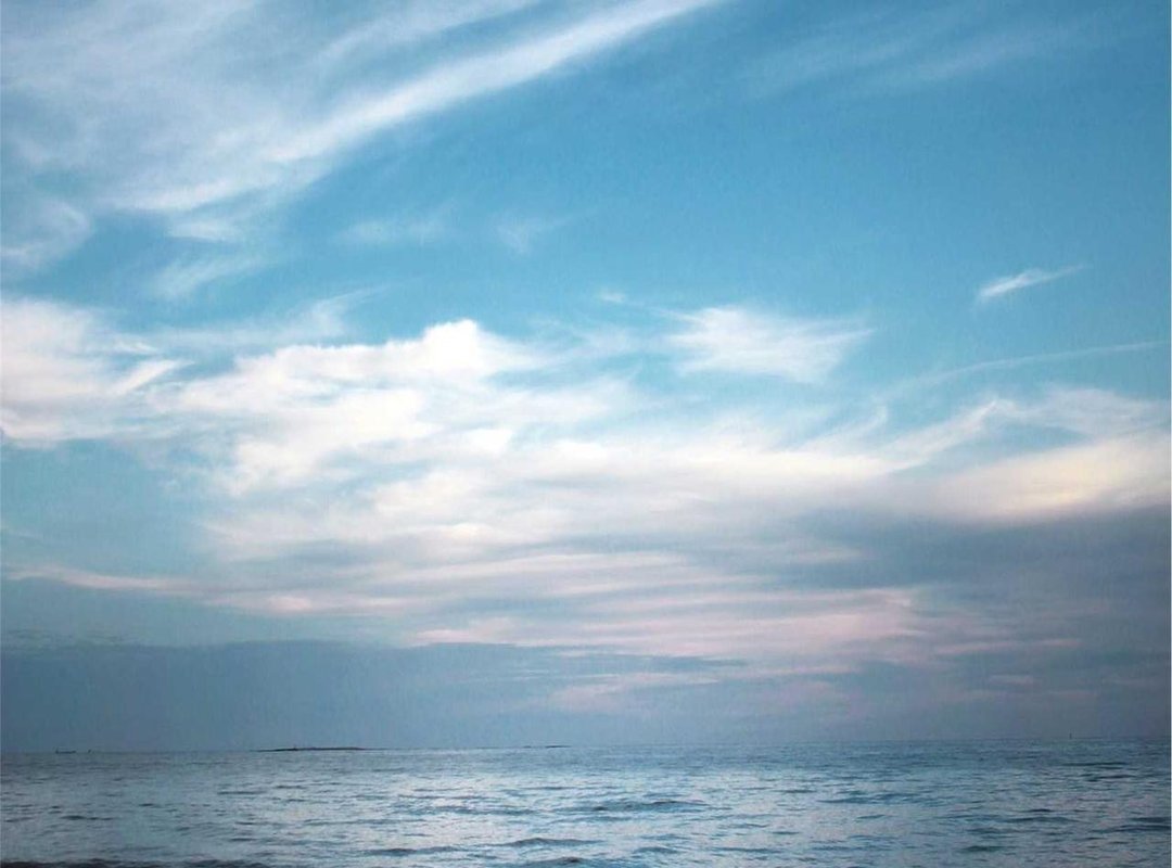 Troubleshooting: What to Do When Things Go Wrong