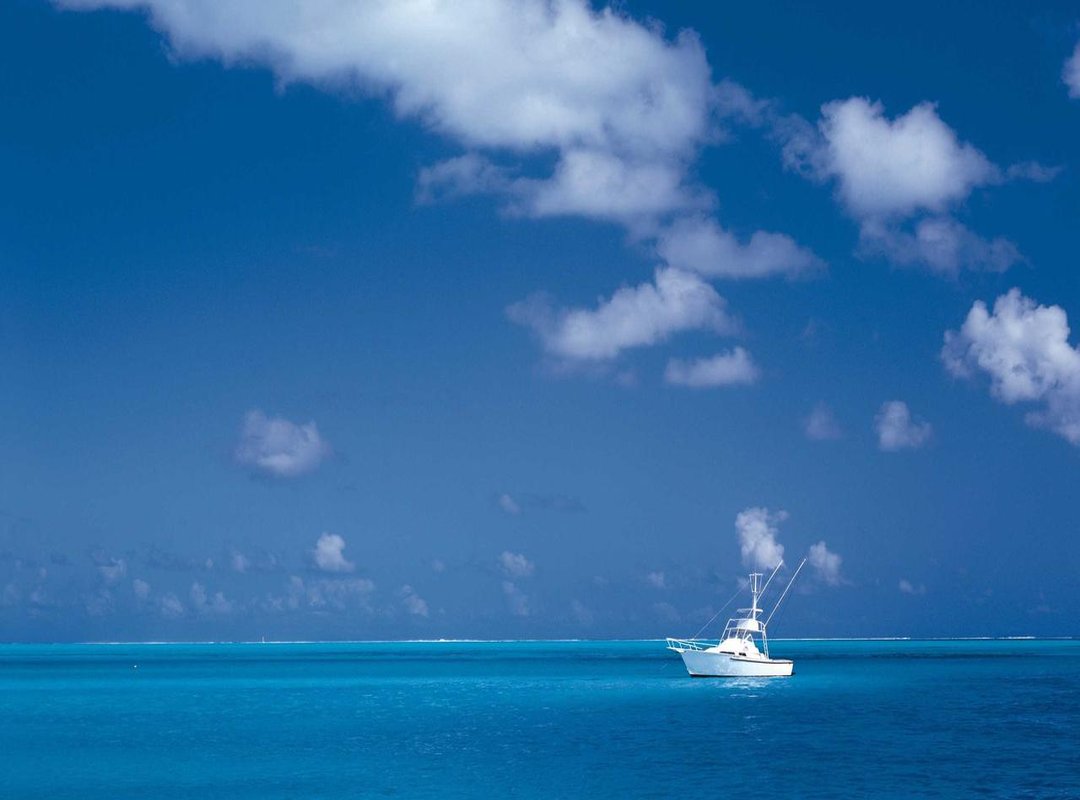 Breaking Down the Message: A Look at Each Verse