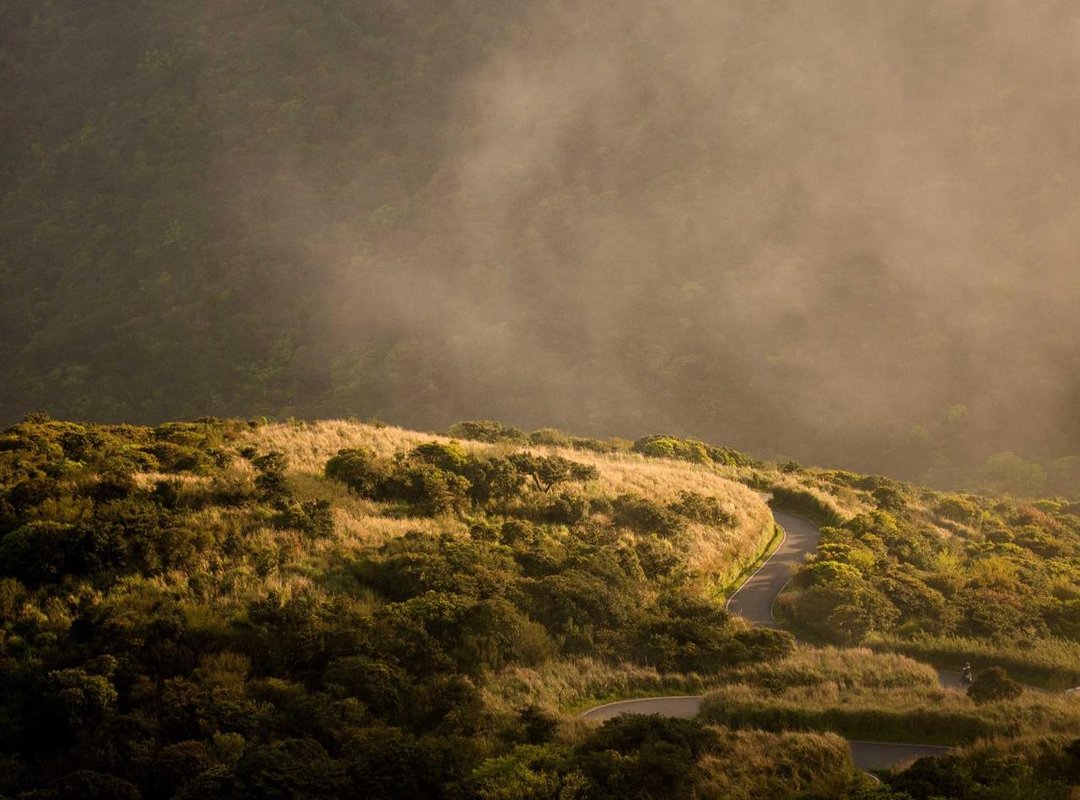 Act 3: Deception and Betrayal at the Royal Ball