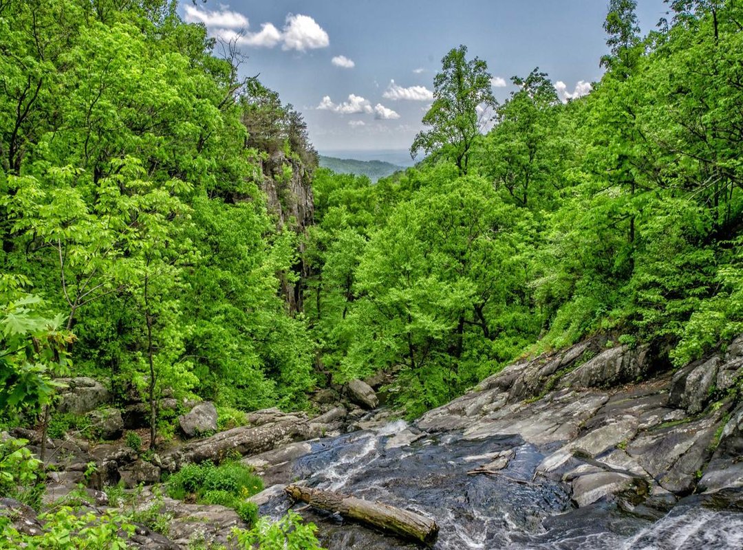 When Fans Get Creative: The Best Community-Made Edits